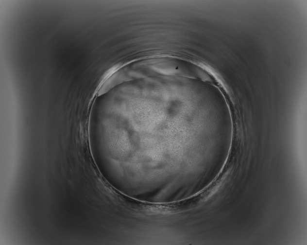 X0000085751097200703231127
