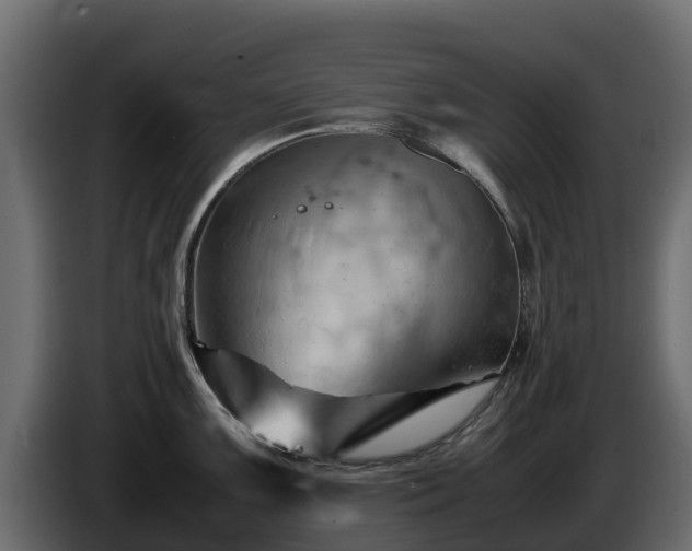 X0000085751099200703231127