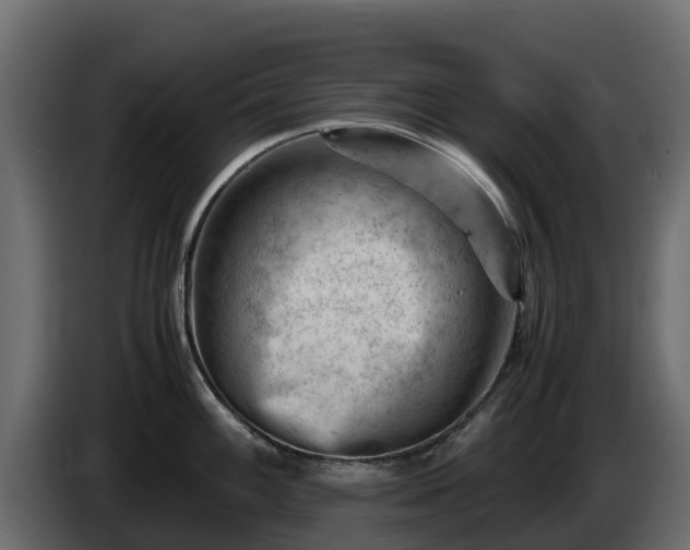 X0000085751100200703231127