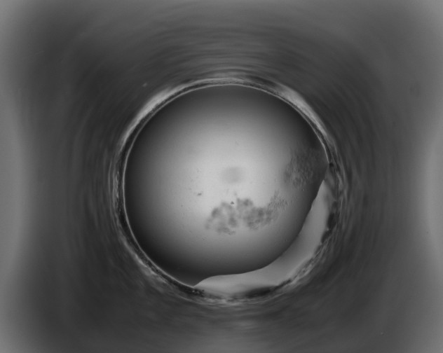 X0000085751101200703231127