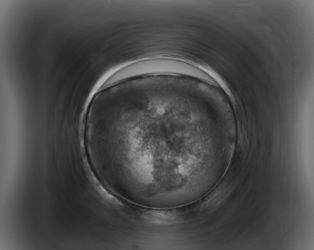 X0000085751102200703231127