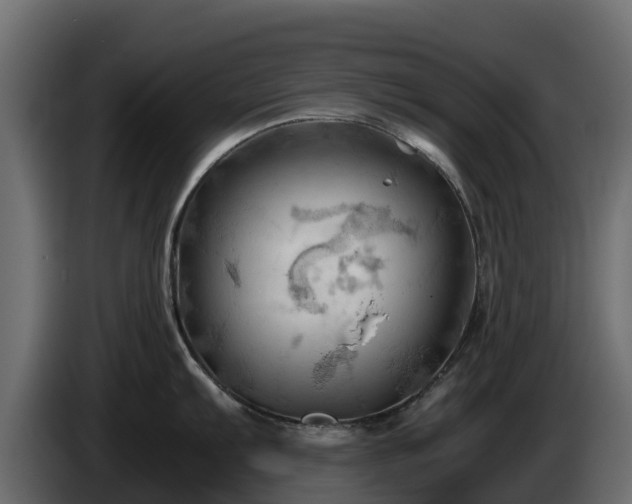 X0000085751103200703231127