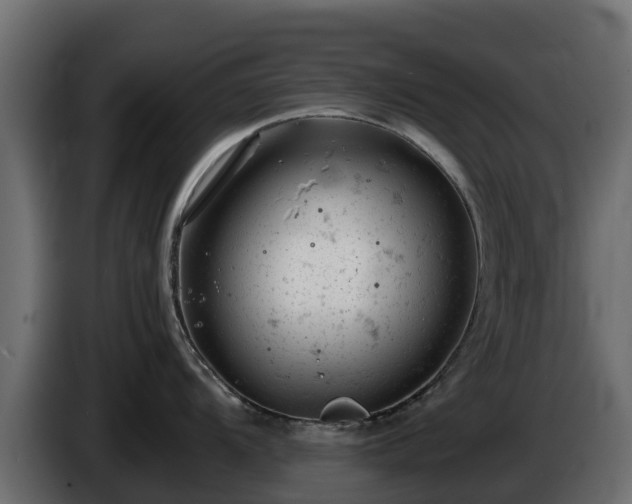 X0000085751104200703231126