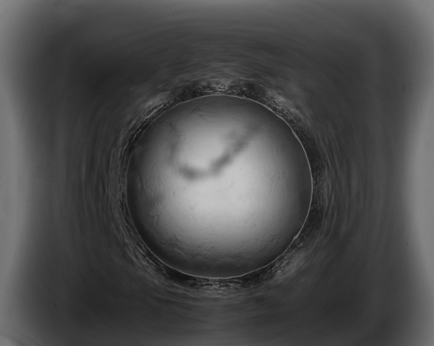 X0000085751105200703231126
