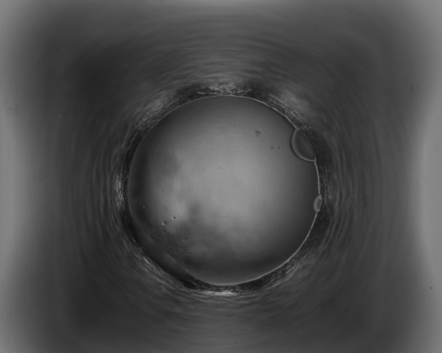 X0000085751106200703231126