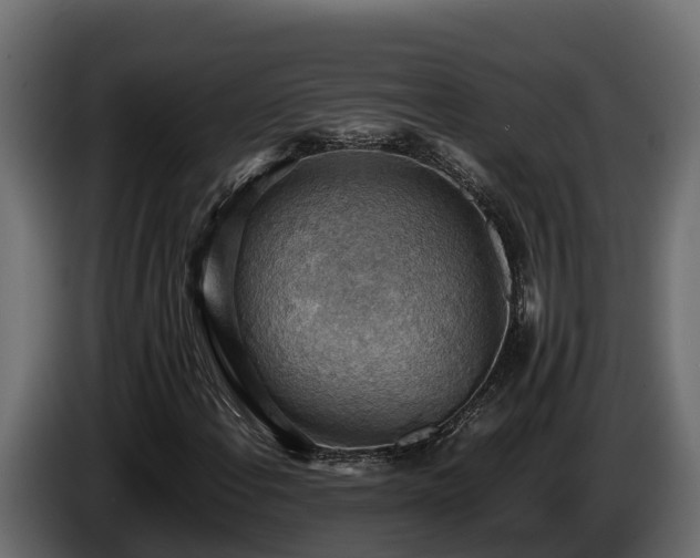 X0000085751108200703231126