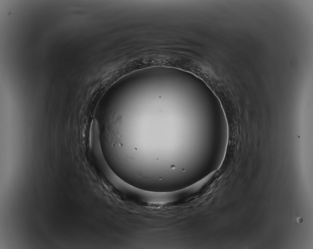 X0000085751109200703231126