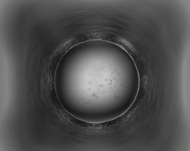 X0000085751111200703231126