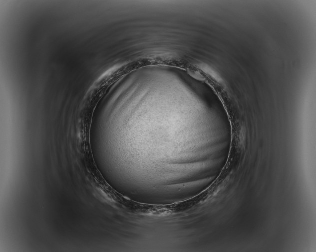 X0000085751112200703231126