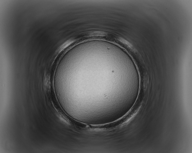 X0000085751113200703231126