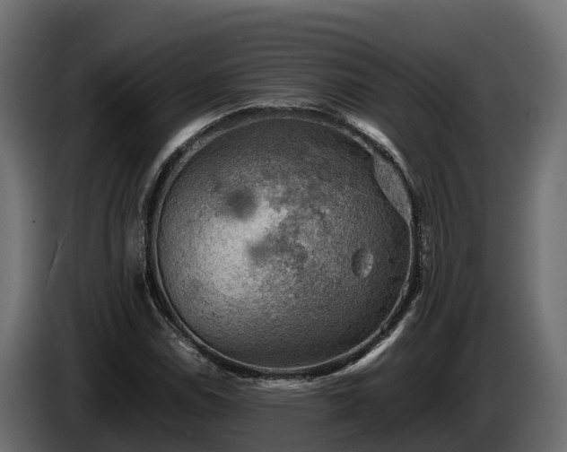 X0000085751114200703231126