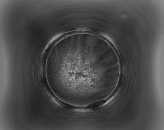 X0000085751115200703231126