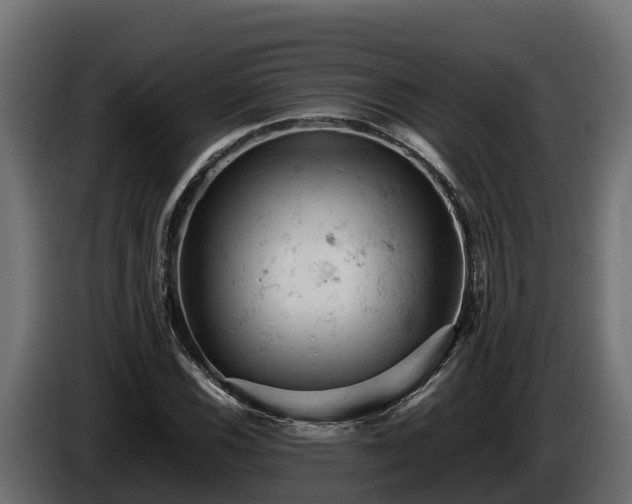 X0000085751116200703231126