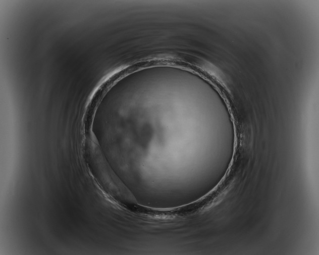 X0000085751117200703231126