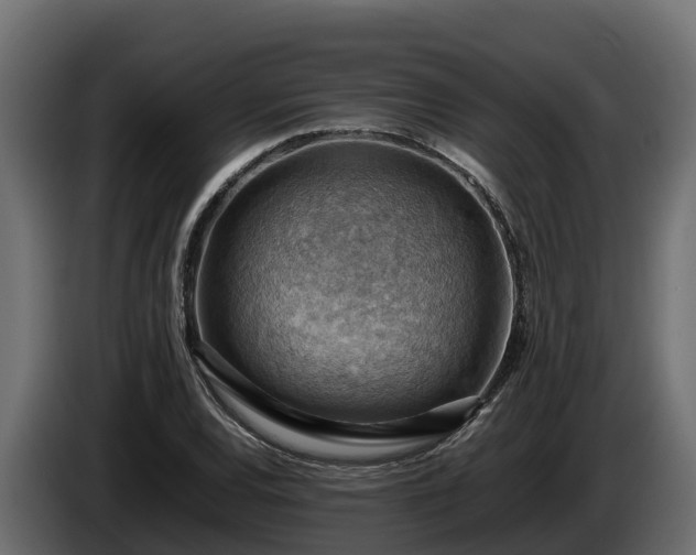 X0000085751120200703231126