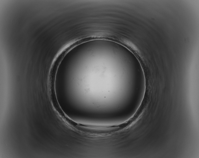 X0000085751122200703231126