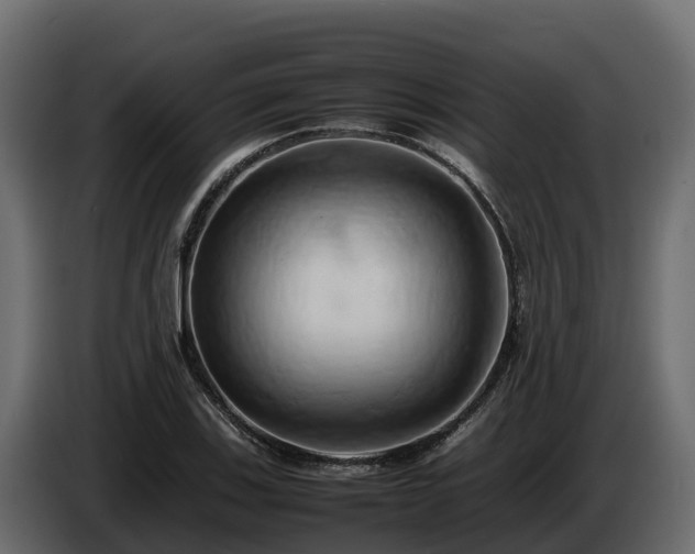 X0000085751123200703231126