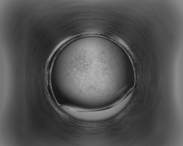 X0000085751124200703231126