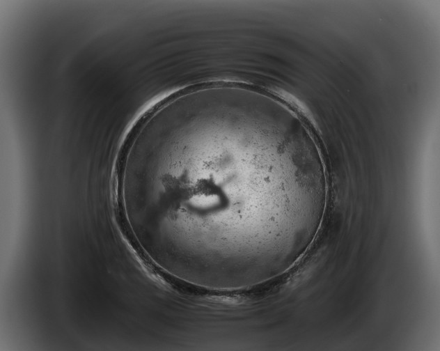 X0000085751125200703231126