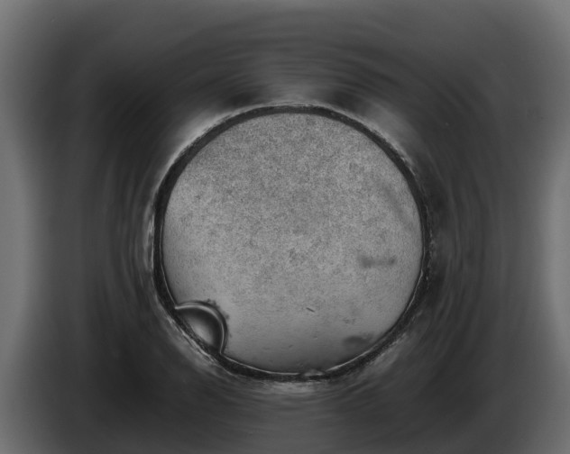 X0000085751126200703231126