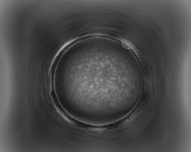 X0000085751127200703231126