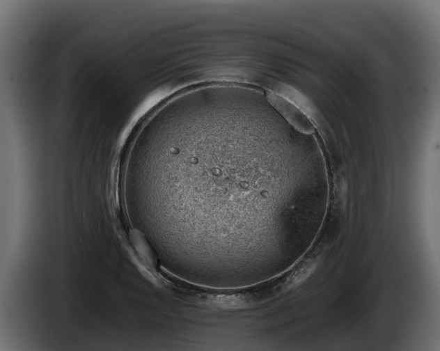 X0000085751128200703231126