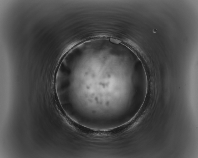 X0000085751129200703231126