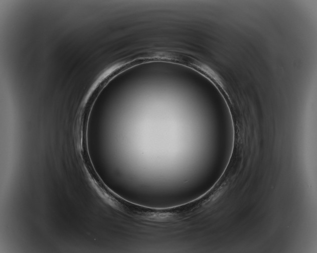 X0000085751131200703231126