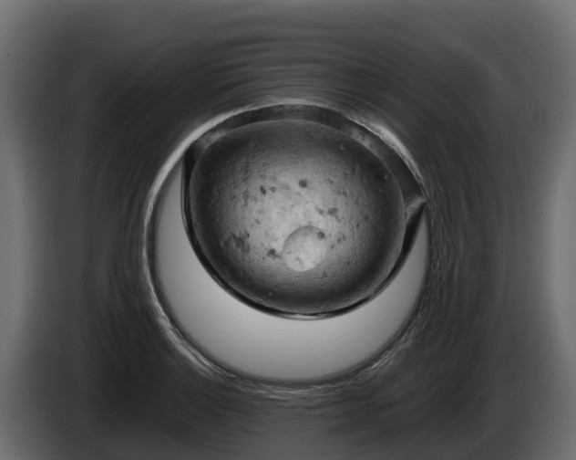 X0000085751132200703231126