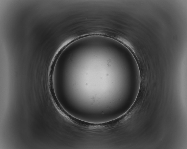 X0000085751135200703231126