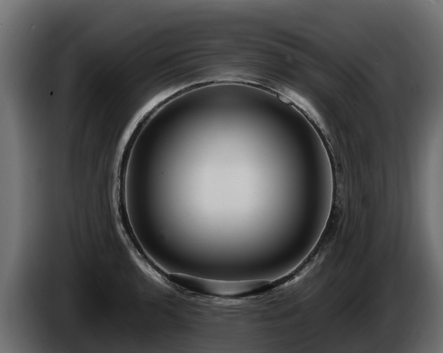 X0000085751136200703231126