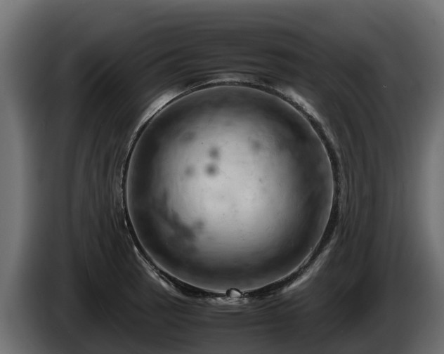 X0000085751137200703231126