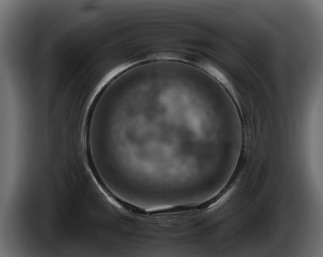 X0000085751141200703231126