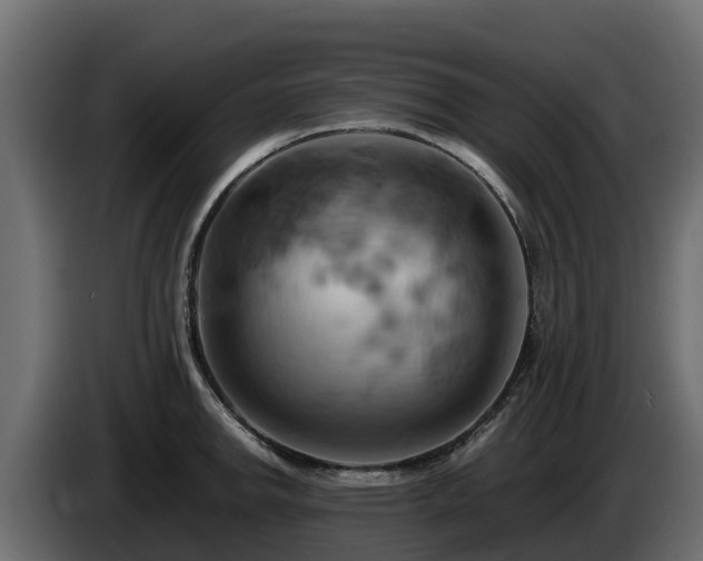 X0000085751142200703231126