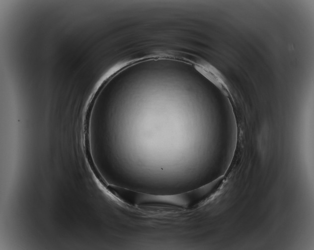 X0000085751143200703231126