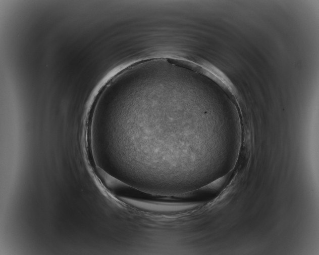 X0000085751144200703231126