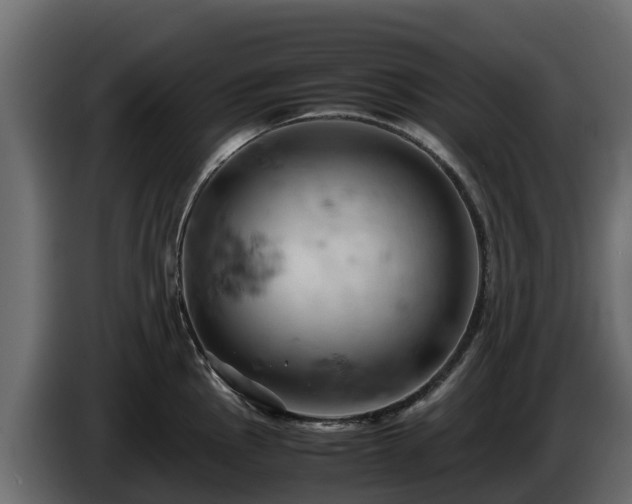 X0000085751145200703231126