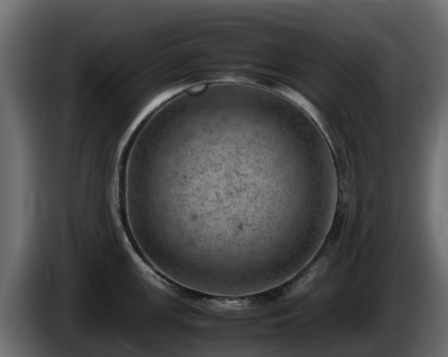 X0000085751147200703231126