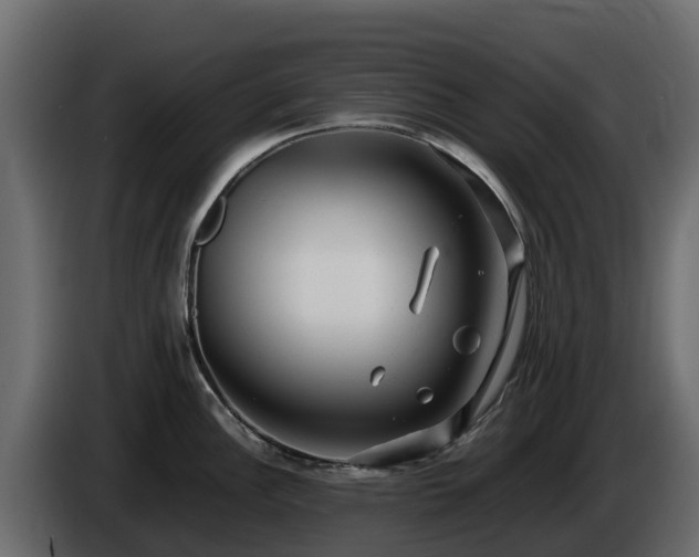 X0000085751148200703231126