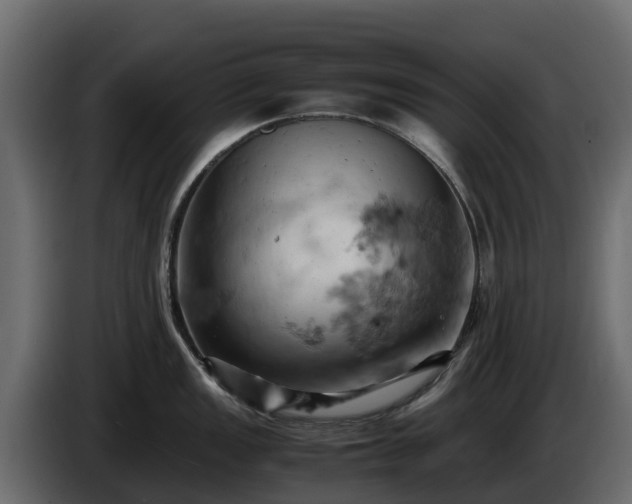 X0000085751149200703231126