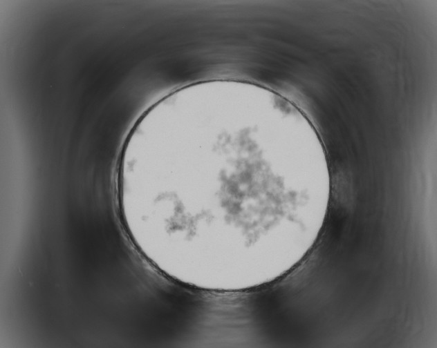 X0000085751150200703231126