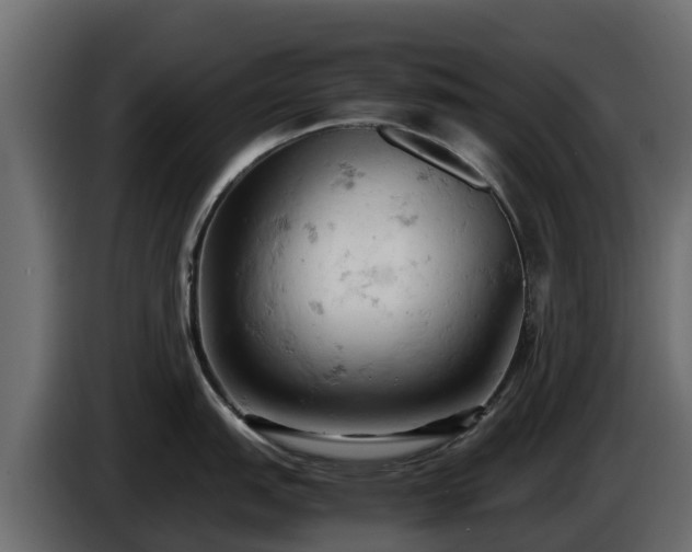 X0000085751151200703231126