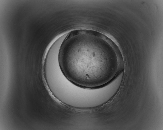 X0000085751152200703231126