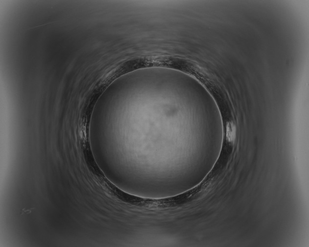 X0000085751155200703231126