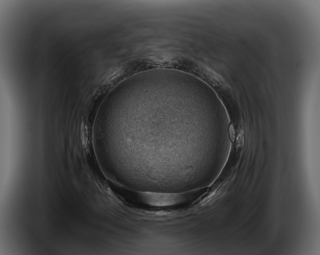 X0000085751156200703231126