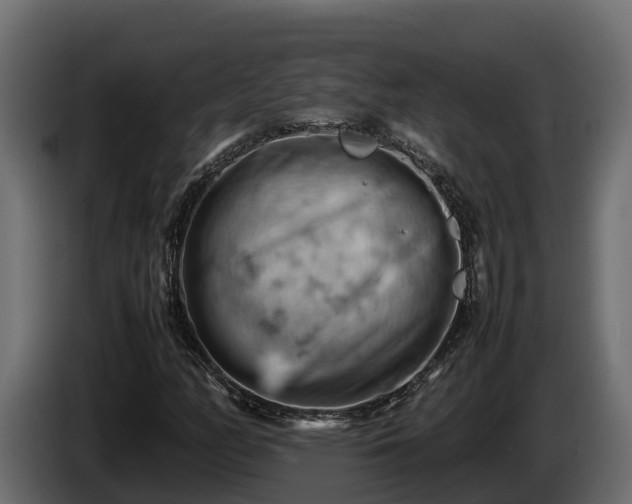 X0000085751158200703231126