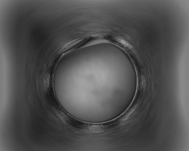X0000085751161200703231126