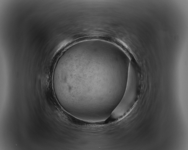 X0000085751163200703231126