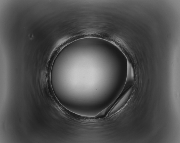 X0000085751164200703231126