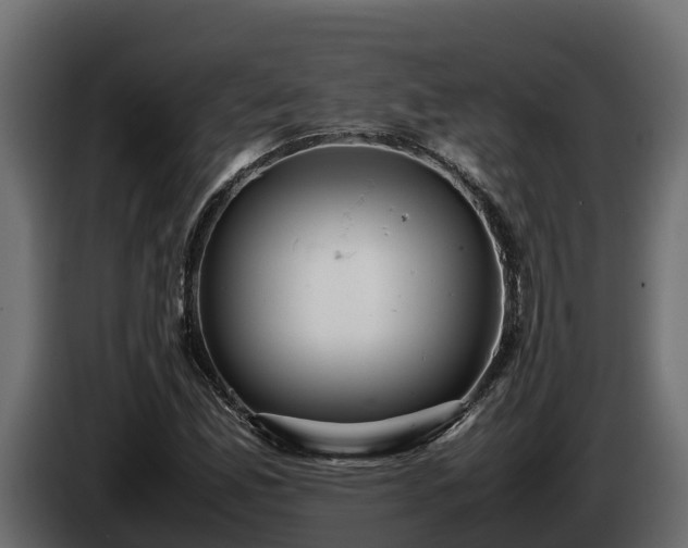 X0000085751165200703231126